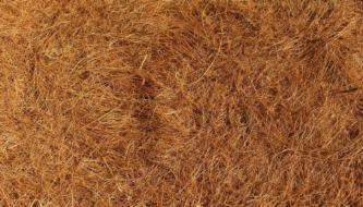 Солома и Сено - коллекция бесплатных текстур