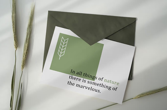 Postcard Mockup