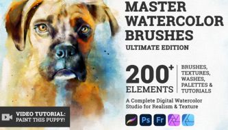 Best Procreate Watercolor Brushes