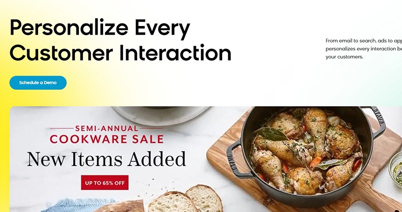 Bloomreach Engagement