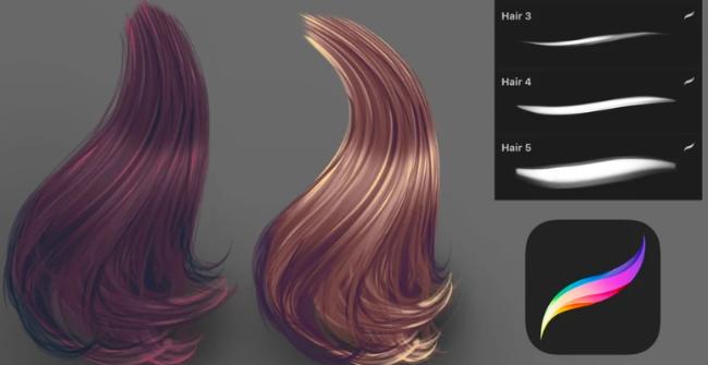 5 Hair Brushes set