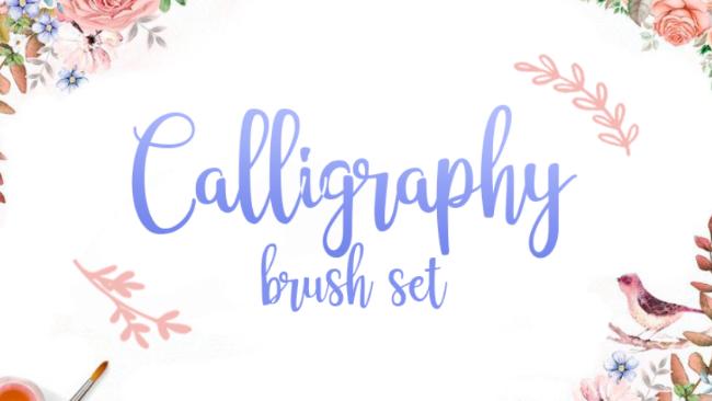 Calligraphy Brush Set for Procreate