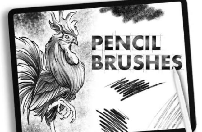 Realistic Pencil Effect Procreate Brushes