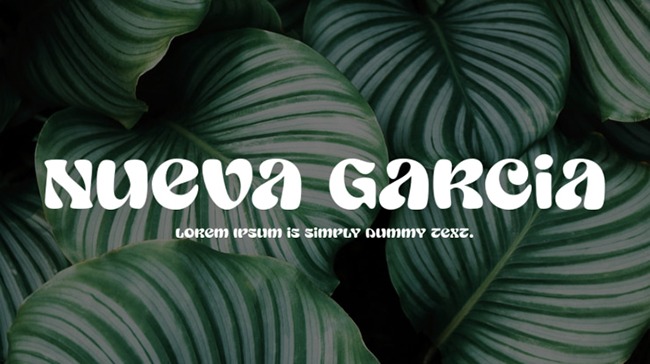 Nueva Garcia Font