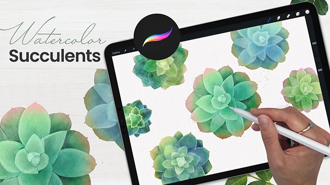 Watercolor Succulents in Procreate