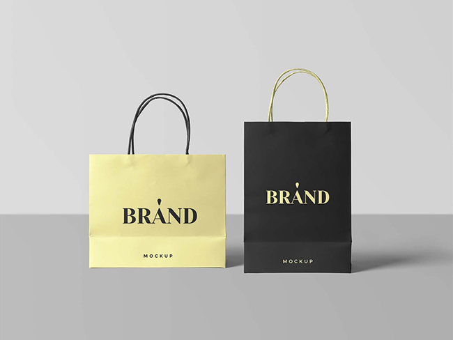 2 Size Free Paper Shopping Bags Mockup
