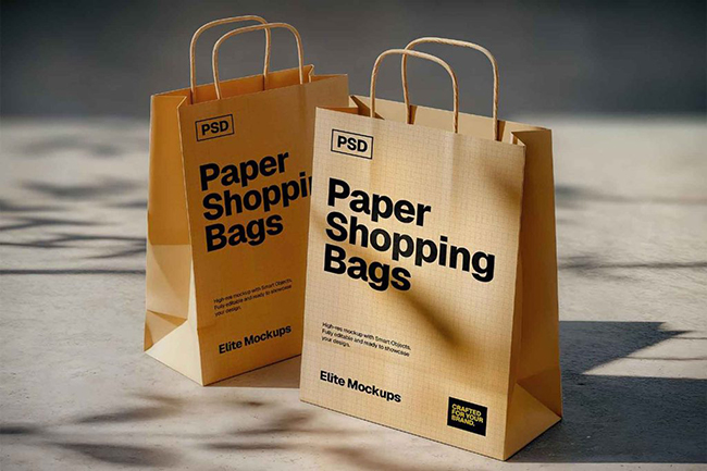 Two Paper Shopping Bags Mockup