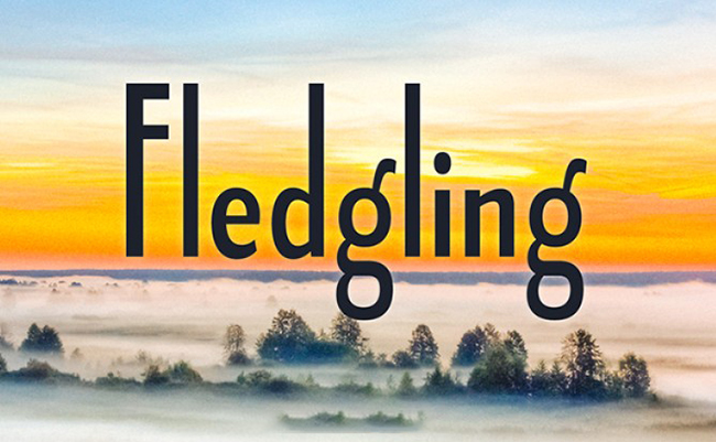 Fledgling Font