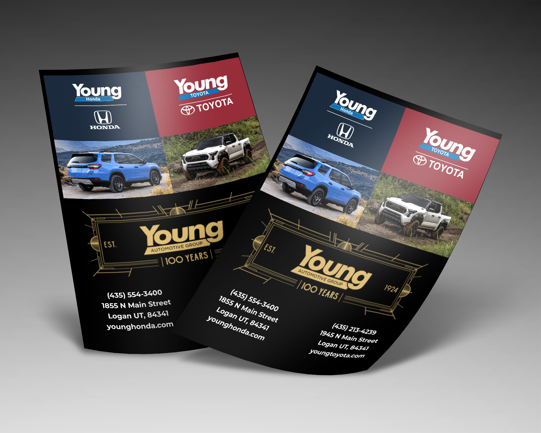 Young Automotive Group anniversary advertising design