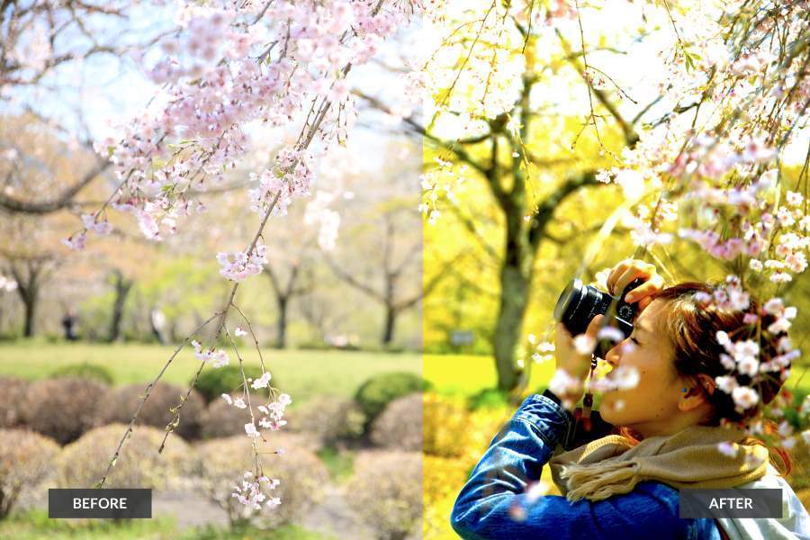 20 Free Photoshop Actions