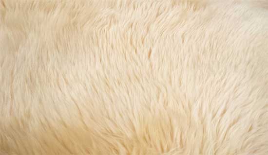 carpet textures