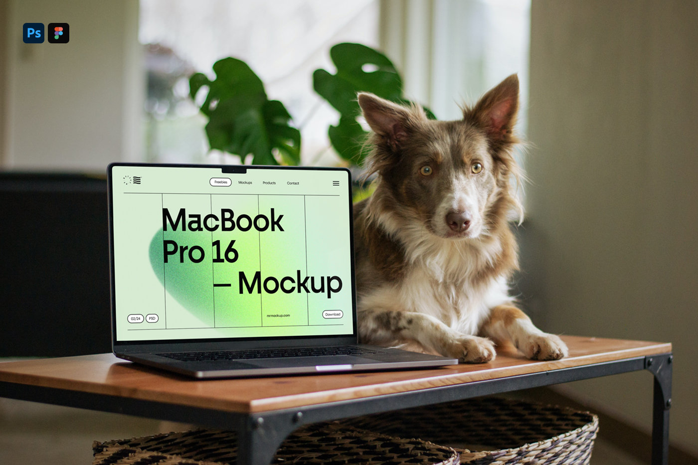 Macbook Pro Mockup with Doggy in Perspective View FREE PSD