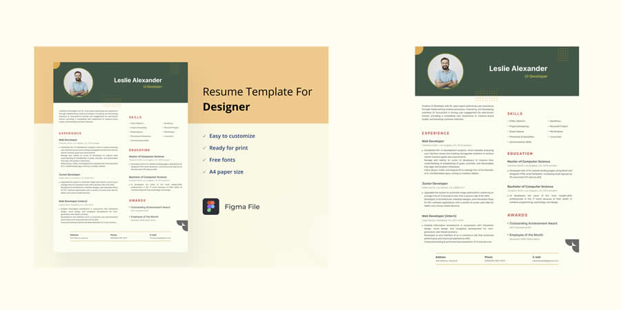 UI and Developer Figma Resume Template