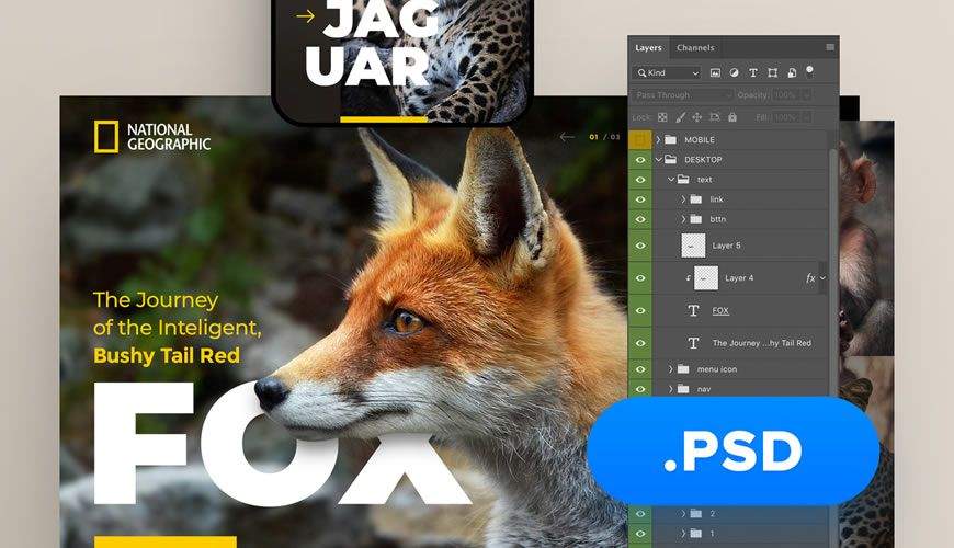 PSD веб-сайт National Geographic Веб-сайт Adobe Photoshop