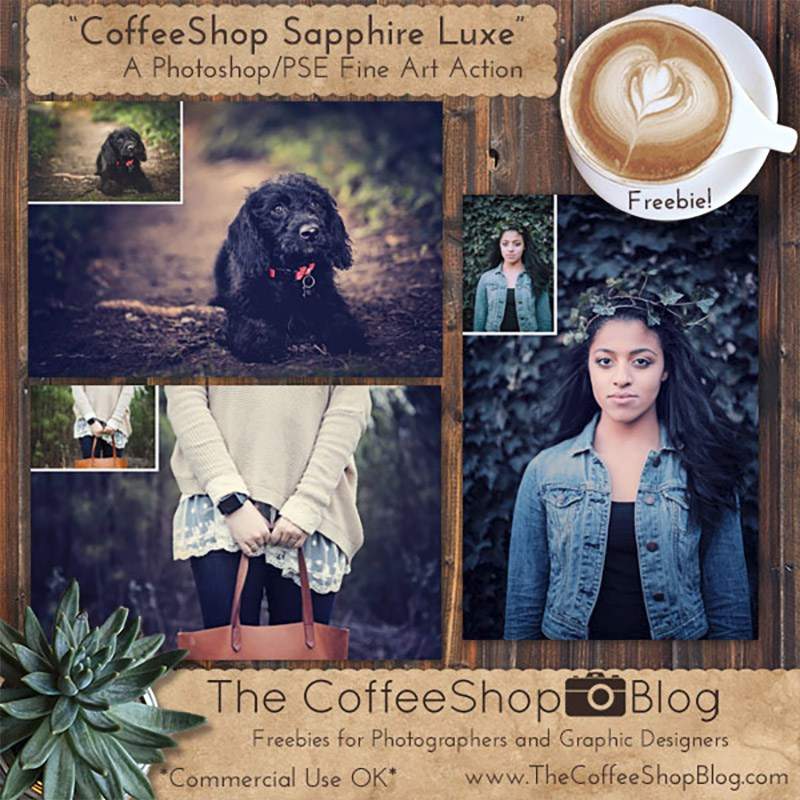 Saphire Luxe Photoshop Action