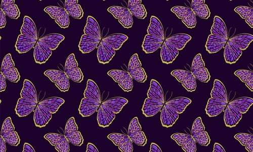 CloissoneButterfly