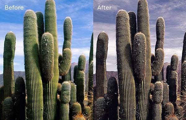 TENSION - Free Intensify Photoshop Action
